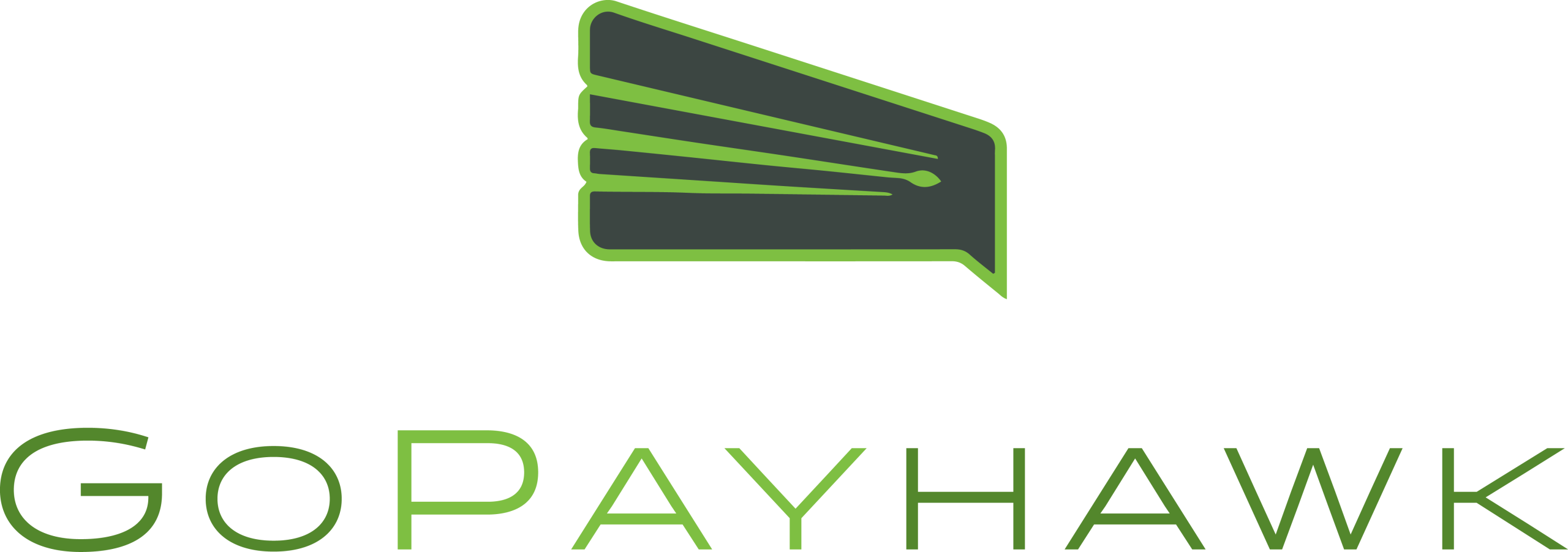 GoPayhawk Logo