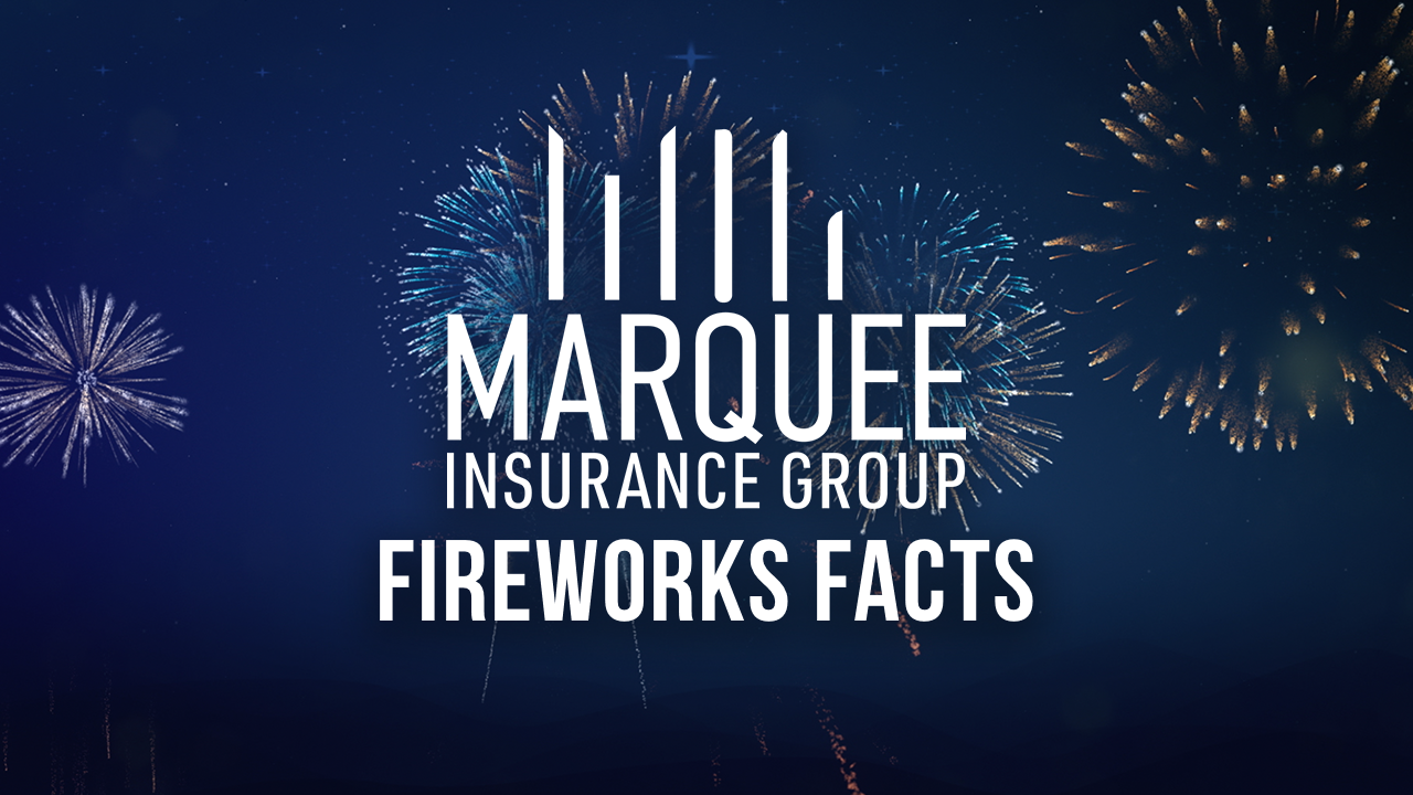Firework Facts